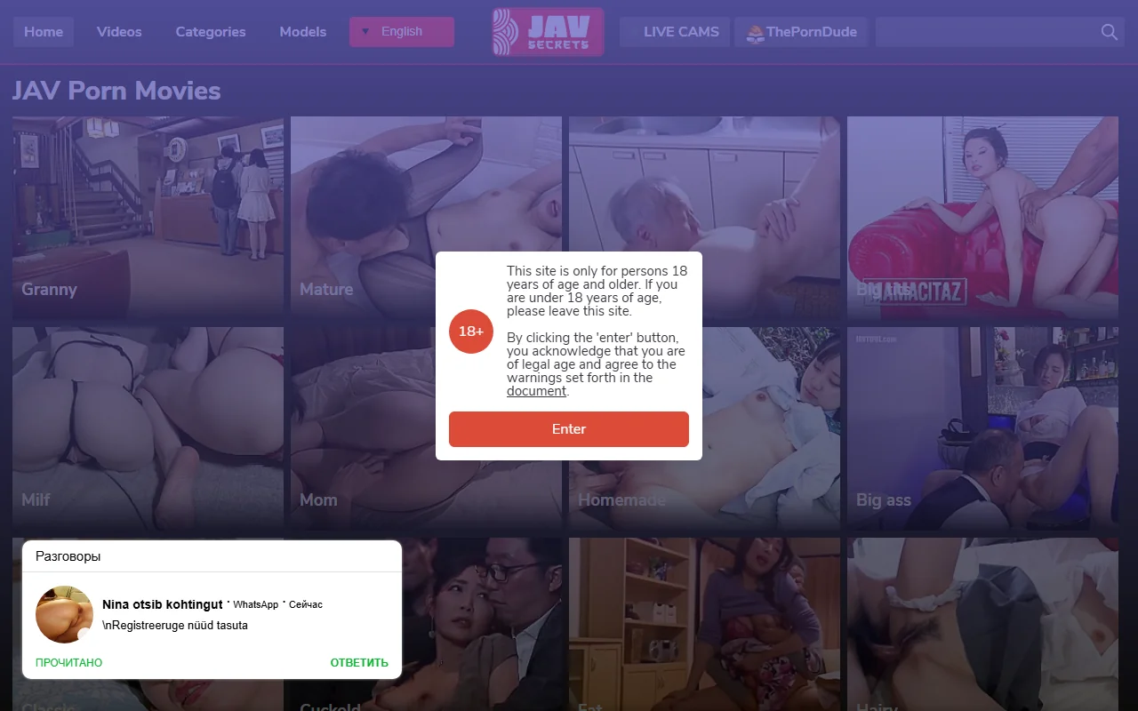 Screenshot of Javsecrets